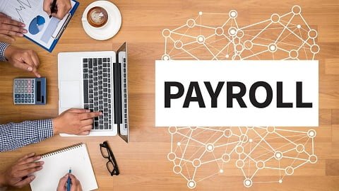 Efficient Payroll Management for Small Businesses